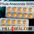 Anaconda 5000 Pill levitra2